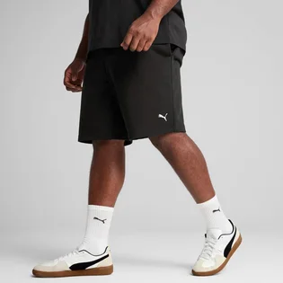 Шорти чоловічі Puma Essentials Black 682598-01