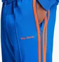Штаны мужские Adidas Wb Stirup Tp Blue IW1178
