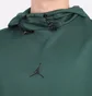 Худи мужское Air Jordan M J Df Air Stmt Flc Po Hoodie Da9849-333