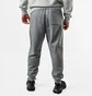 Штани чоловічі Air Jordan Essentials Grey FJ7779-091