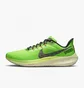 Кроссовки мужские Nike Air Zoom Pegasus 39 Green Dz4776-343