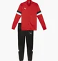 Спортивний костюм чоловічий Puma Teamrise Trainingsanzug F01 Red/Black 658653-01