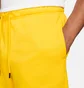 Шорти чоловічі Air Jordan Essentials Fleece Shorts Yellow DA9826-719