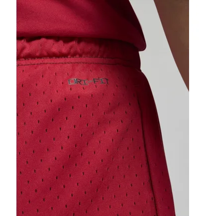 Шорти чоловічі Air Jordan M J Df Sprt Bc Mesh Gfx Short Red/Black Dm1815-687