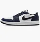 Кросівки унісекс Air Jordan Air 1 Low G White/Blue DD9315-104