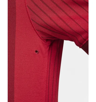 Поло мужское Nike Polo Dri-Fit The Polo Red FD5398-677