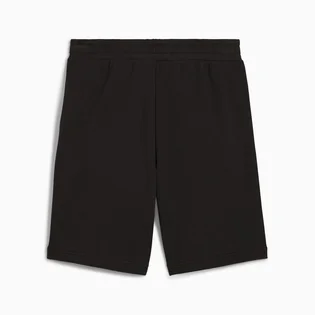 Шорти чоловічі Puma Essentials Black 682594-01