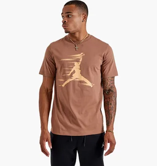 Футболка мужская Air Jordan Mvp Jumpman Tee Brown FZ1919-223