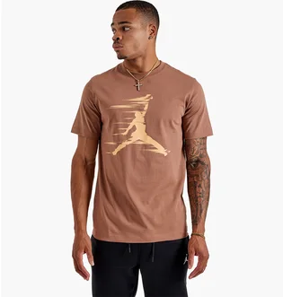 Футболка чоловіча Air Jordan Mvp Jumpman Tee Brown FZ1919-223