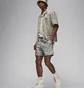 Шорти чоловічі Air Jordan M J Ess Poolside Aop Short Grey FN4635-133