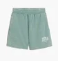 Шорты женские Puma Class Shorts Green 685035-30