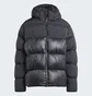 Пуховик мужской Adidas Adicolor Down Regen Hooded Puffer Black IL2572
