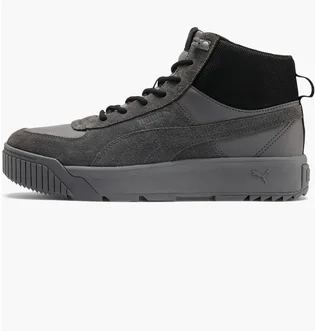 Кроссовки мужские Puma Tarrenz Sb Grey 370551-03