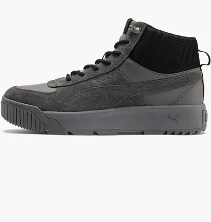 Кросівки чоловічі Puma Tarrenz Sb Grey 370551-03