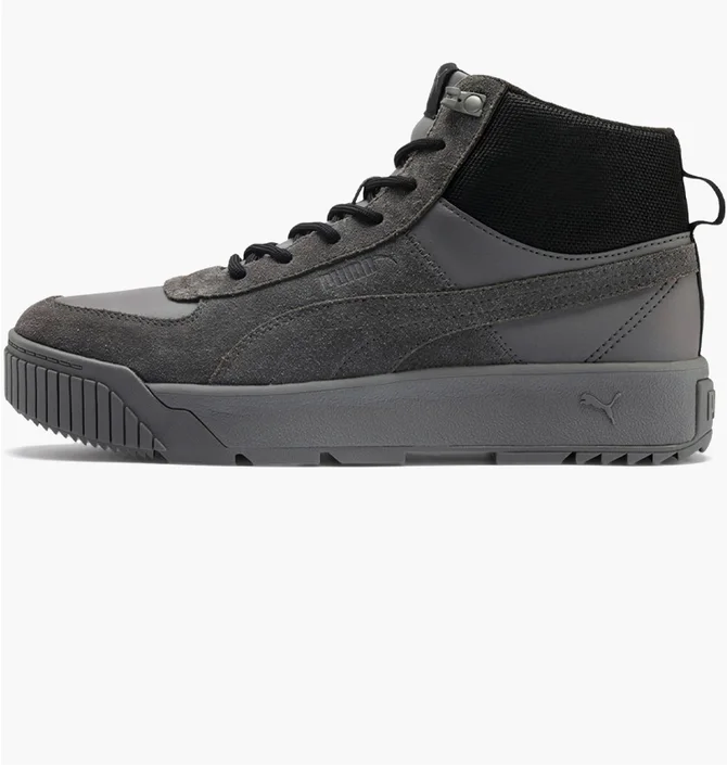 Кросівки чоловічі Puma Tarrenz Sb Grey 370551-03