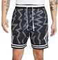 Шорти чоловічі Air Jordan Dri-Fit Black/White DH9079-010