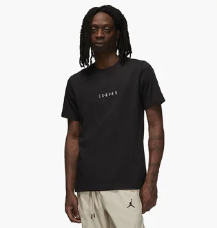Футболка мужская Air Jordan Mens T-Shirt Black DM3182-010