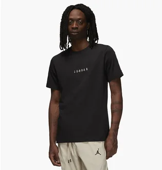 Футболка мужская Air Jordan Mens T-Shirt Black DM3182-010