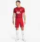Шорти чоловічі Nike Liverpool Fc 23/24 Home Dri-Fit Stadium Shorts Red DX2714-687