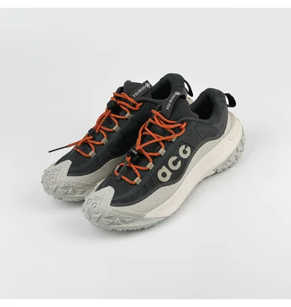 Кроссовки мужские Nike Acg Mountain Fly 2 Low Gore-Tex Grey HF6245-002