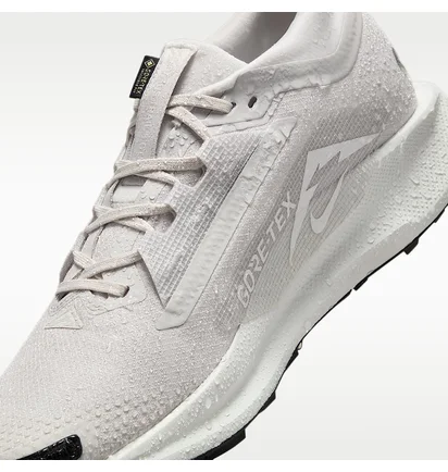 Кросівки чоловічі Nike Pegasus Trail 5 Beige FQ0908-010