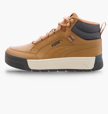 Ботинки унисекс Puma Tarrenz Sb Iii Beige 392628-02