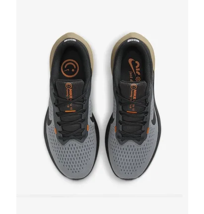 Кросівки чоловічі Nike Air Winflo 10 Grey FQ8725-084
