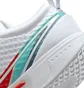 Кросівки жіночі Nike Court Zoom Pro White DH0990-136