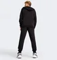 Спортивний костюм чоловічий Puma Hooded Sweat Suit Black 684855-01