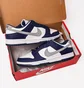 Кроссовки мужские Nike Dunk Low White/Blue Fd9749-400