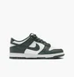 Кроссовки детские Nike Dunk Low Retro Green/White FB9109-120