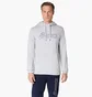 Худі чоловіче Asics Logo Oth Grey 2031E187-020
