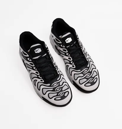 Кроссовки мужские Nike Air Max Plus Drift White/Grey FD4290-101