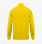 Куртка мужская Adidas Squadra 21 Presentation Jacket Yellow GP6448