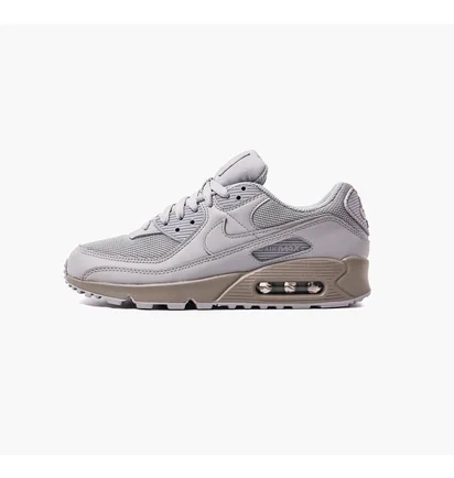 Кросівки чоловічі Nike Air Max 90 Grey CN8490-012