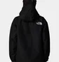 Ветровка мужская The North Face Dryvent™ Mono Black NF0A88XFJK3