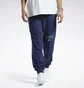 Штаны мужские Reebok Classics Varsity Blue Ic1939