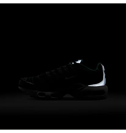 Кроссовки мужские Nike Air Max Plus Older Kids Shoes Black HF0094-001