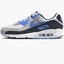 Кросівки чоловічі Nike Air Max 90 Grey Dq4071-101