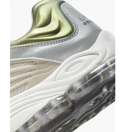 Кросівки чоловічі Nike Air Tuned Max Grey DC9391-200