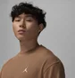 Свитшот мужской Air Jordan Essential Lifestyle Brown FV7456-223