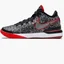 Кросівки унісекс Nike X Faze Clan Zoom Lebron Nxxt Gen Grey DR8784-001
