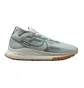 Кросівки чоловічі Nike React Pegasus Trail 4 Gtx Olive DJ7926-304
