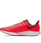 Кросівки чоловічі Nike Pegasus 36 MenS Running Shoes Red AQ2203-600