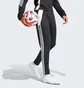 Штани чоловічі Adidas Tiro 24 Slim Training Tracksuit Bottoms Black IP1953