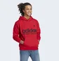 Худи мужское Adidas Pinstripe Fleece Hoodie Red Ia1809