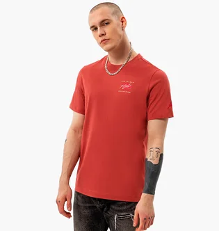 Футболка мужская Air Jordan T-Shirt M J Flt Ess Jdn Air Gfx Crew Bordo DH8968-691