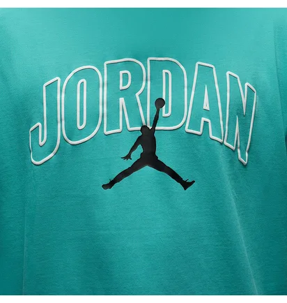 Футболка чоловіча Air Jordan Brooklyn Turquoise IB7347-392