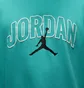 Футболка чоловіча Air Jordan Brooklyn Turquoise IB7347-392