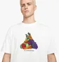 Футболка мужская Nike Acg Fruit & Veggies White DQ4954-121